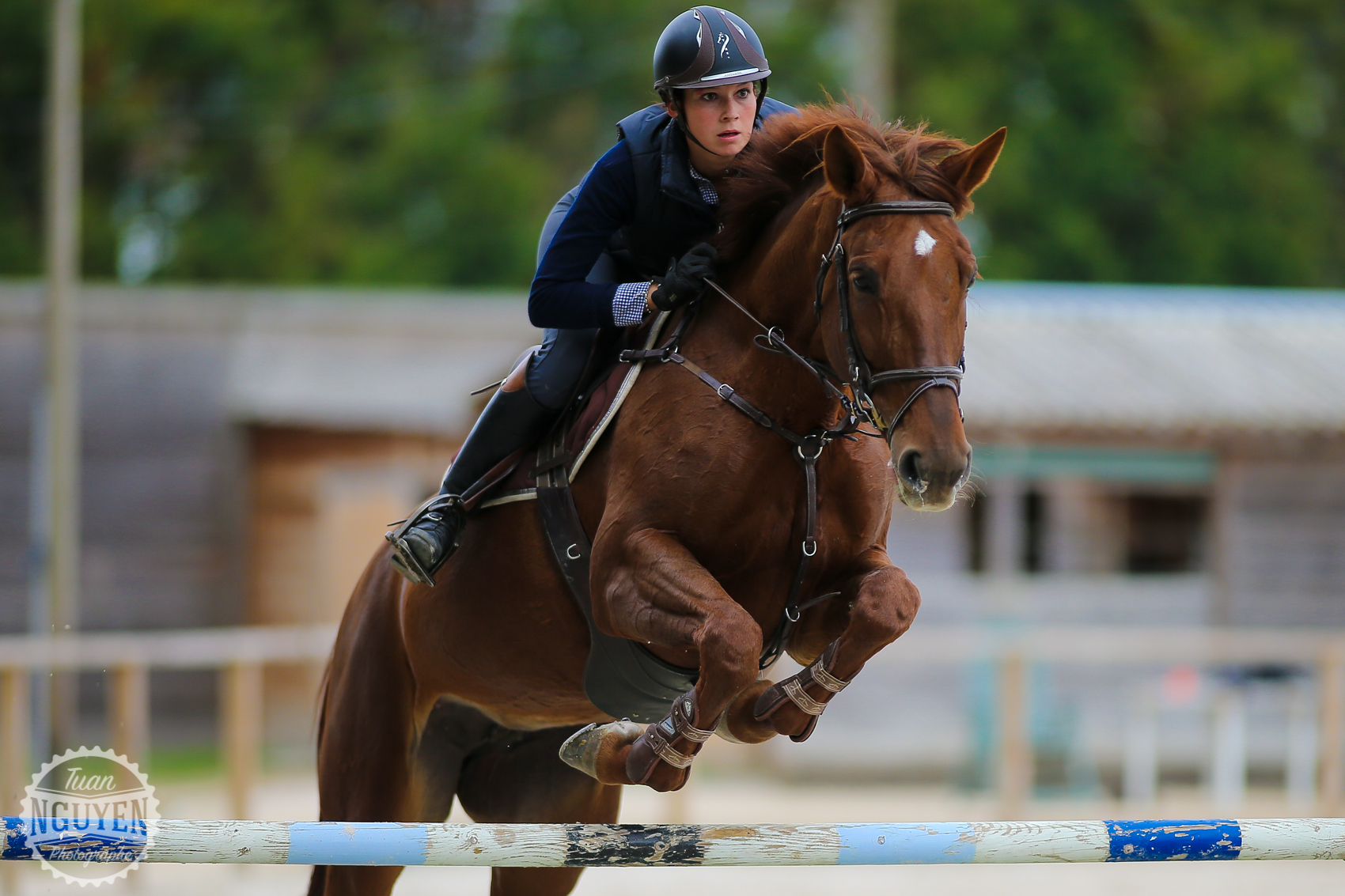 Ecurie de Contres 1223